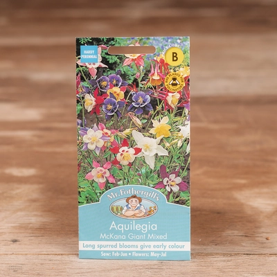 Aquilegia Mckana Giant Mix