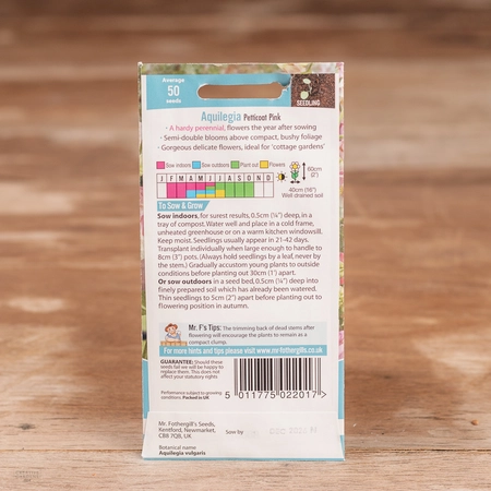 Aquilegia Petticoat Pink - image 2