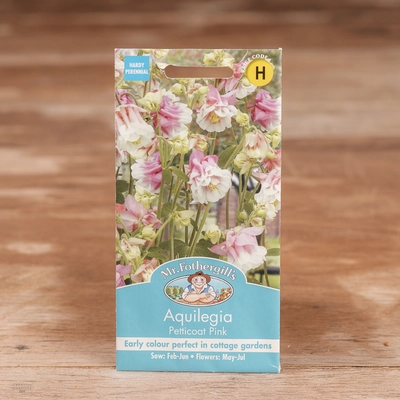 Aquilegia Petticoat Pink