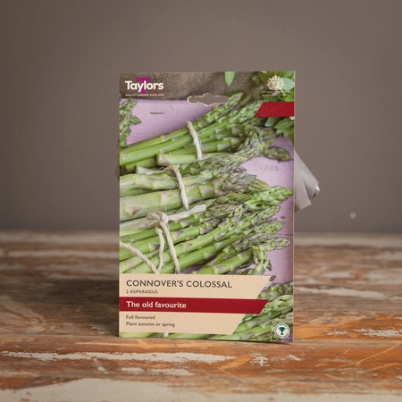 Asparagus Connover's Colossal