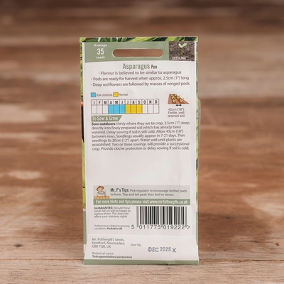 Asparagus Pea - image 2