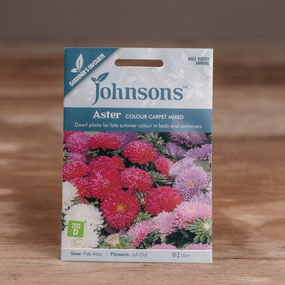 Aster Colour Carpet Mix - image 1