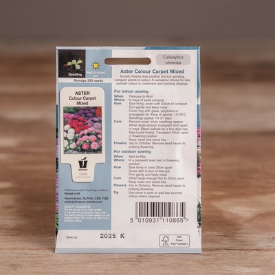 Aster Colour Carpet Mix - image 2