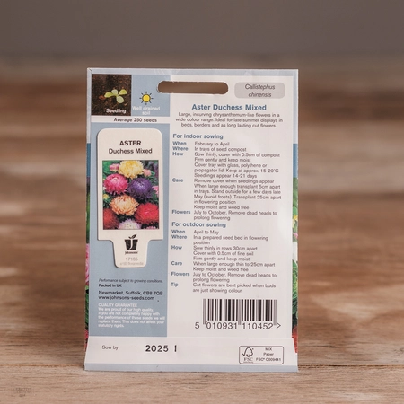 Aster Duchess Mix - image 2