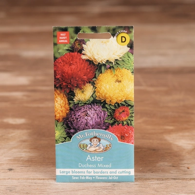 Aster Duchess Mix