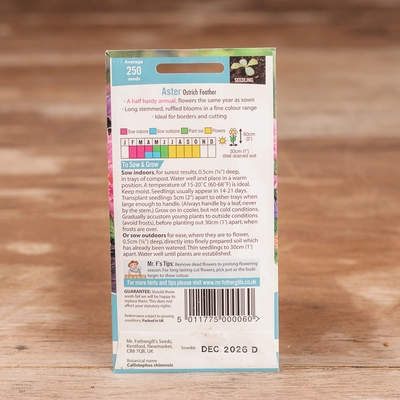 Aster Ostrich Feather - image 2