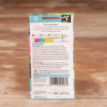 Aster Ostrich Feather - image 2