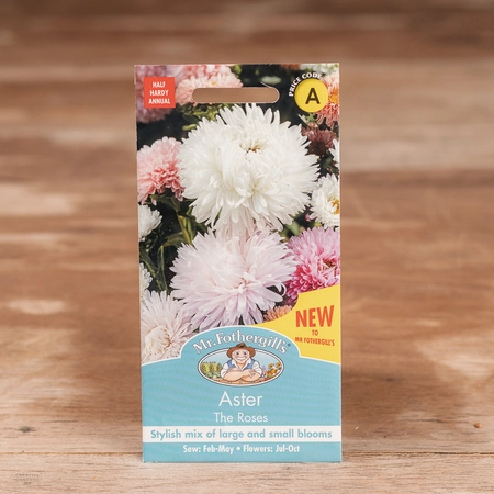 Aster The Roses - image 1