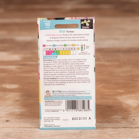 Aster The Roses - image 2