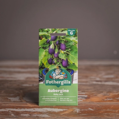 Aubergine Baby Jack - image 1