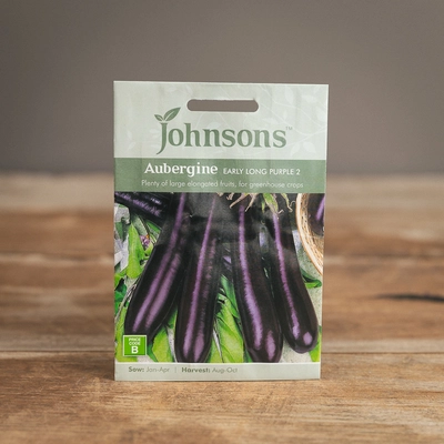 Aubergine Early Long Purple 2 - image 1