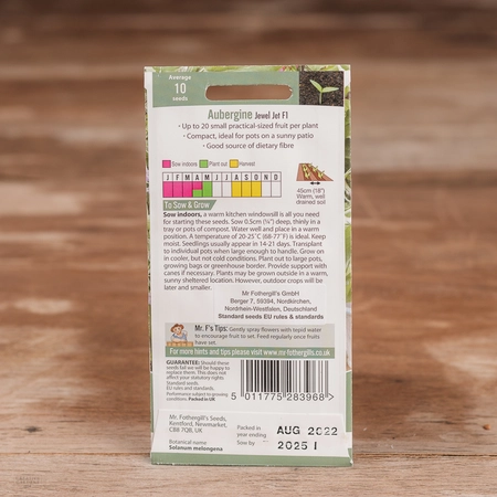 Aubergine Jewel Jet F1 - image 2
