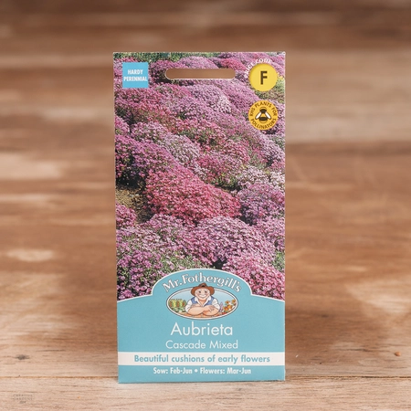 Aubrieta Cascade Mix - image 1