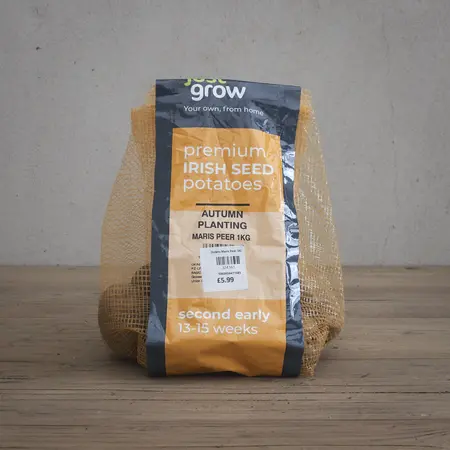 Autumn Planting Potato Maris Peer - 1KG