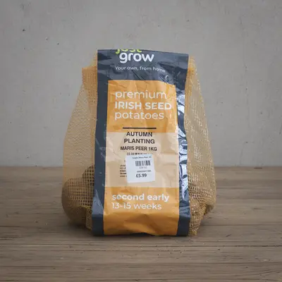 Autumn Planting Potato Maris Peer - 1KG
