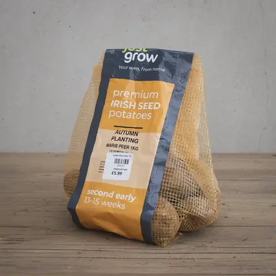 Autumn Planting Potato Maris Peer - 1KG