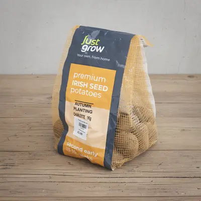 Autumn Planting Seed Potato Charlotte - 1KG