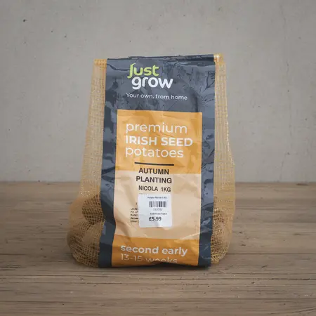Autumn Planting Seed Potato Nicola - 1KG