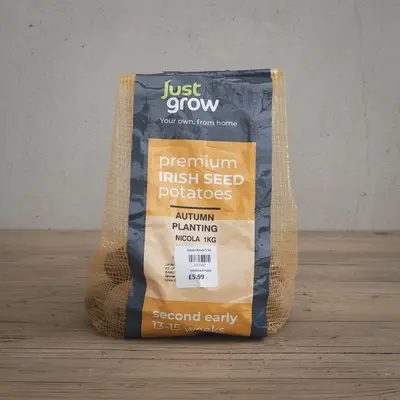 Autumn Planting Seed Potato Nicola - 1KG