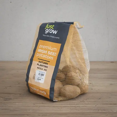 Autumn Planting Seed Potato Nicola - 1KG