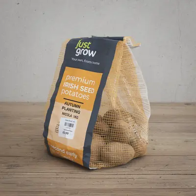 Autumn Planting Seed Potato Nicola - 1KG