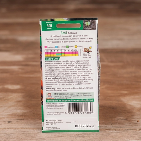 Basil Red Leaved - image 2