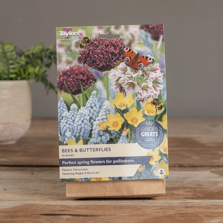 Bees & Butterflies Collection