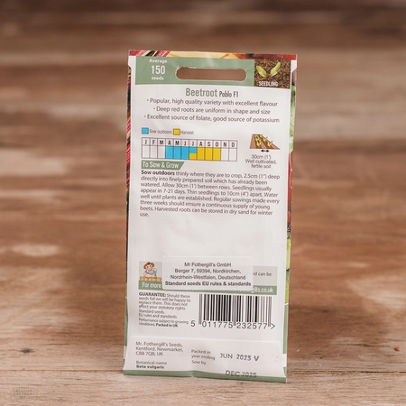 Beetroot Pablo F1 - image 2