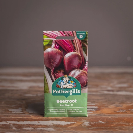 Beetroot Red River F1 - image 1