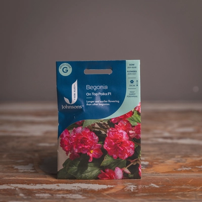 Begonia On Top Polka Dot F1 - image 1