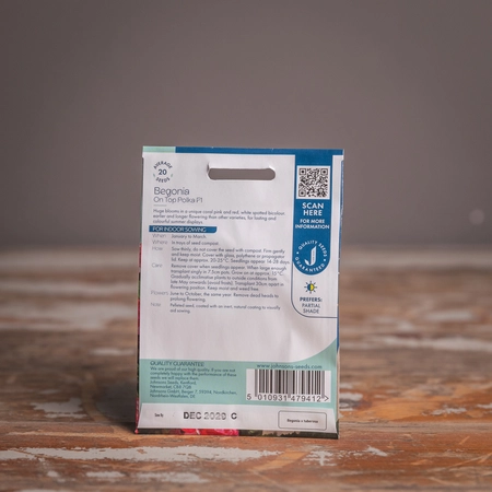 Begonia On Top Polka Dot F1 - image 2