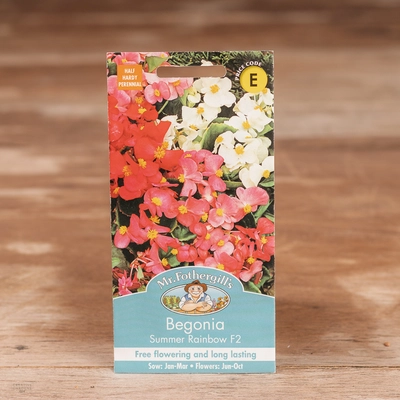 Begonia Summer Rainbow F2