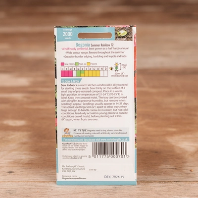 Begonia Summer Rainbow F2 - image 2