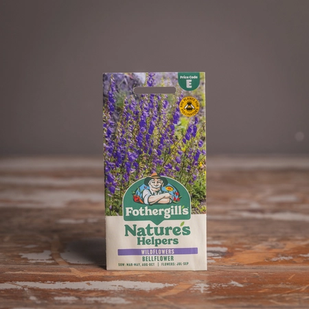 Bellflower - image 1