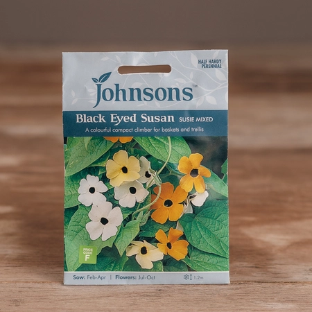 Black Eyed Susan Susie Mix - image 1