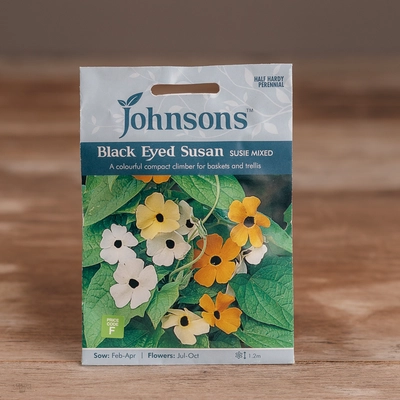 Black Eyed Susan Susie Mix - image 1