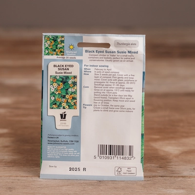 Black Eyed Susan Susie Mix - image 2