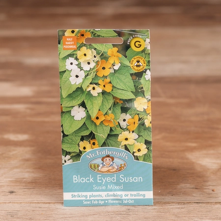 Black Eyed Susan Susie Mix - image 1