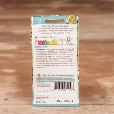 Black Eyed Susan Susie Mix - image 2