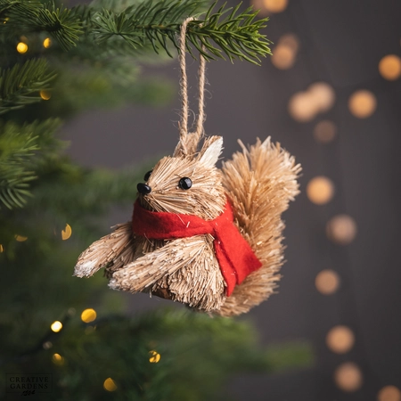 Bristle Squirrel with Red Scarf