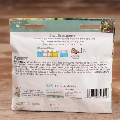 Broad Bean Aguadulce - image 2