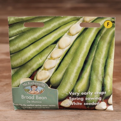 Broad Bean De Monica - image 1