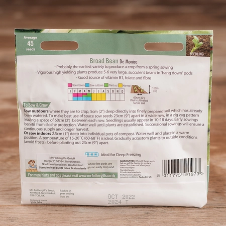 Broad Bean De Monica - image 2