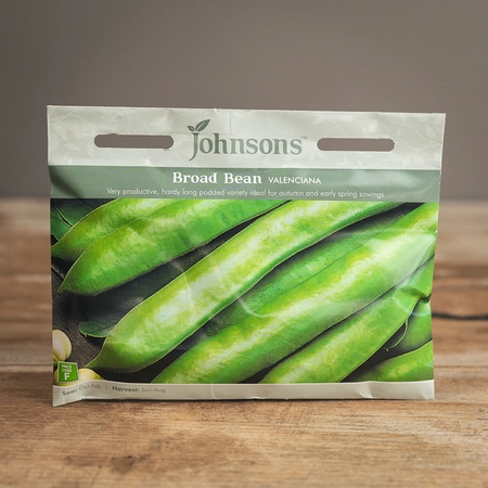 Broad Bean Valenciana - image 1