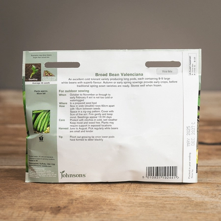 Broad Bean Valenciana - image 2