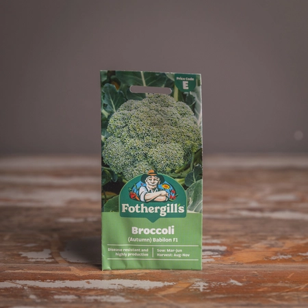 Broccoli (Autumn) Babilon F1 - image 1