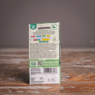 Broccoli (Autumn) Babilon F1 - image 2