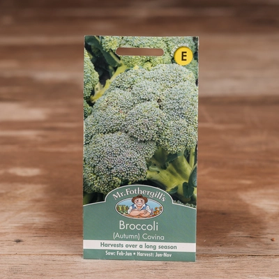 Broccoli (Autumn)  Covina - image 1