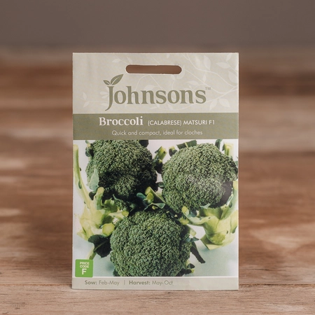 Broccoli (Calabrese) Matsuri F1 - image 1