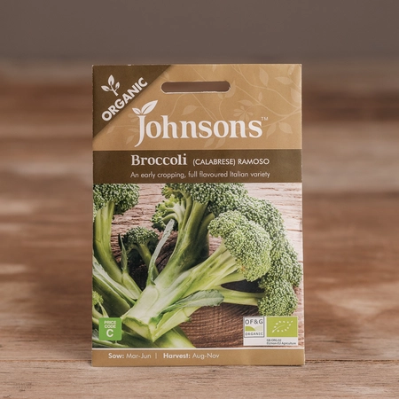 Broccoli (Calabrese) Ramoso Organic - image 1